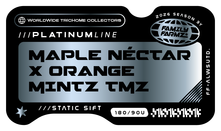 Product image for Maple Néctar x Orange Mintz TMZ