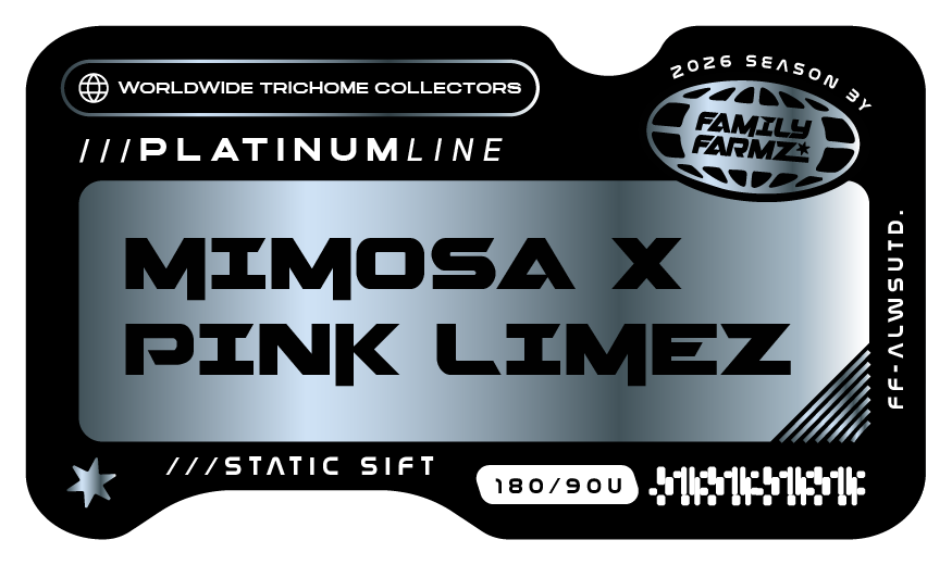 Product image for Mimosa x Pink Limez