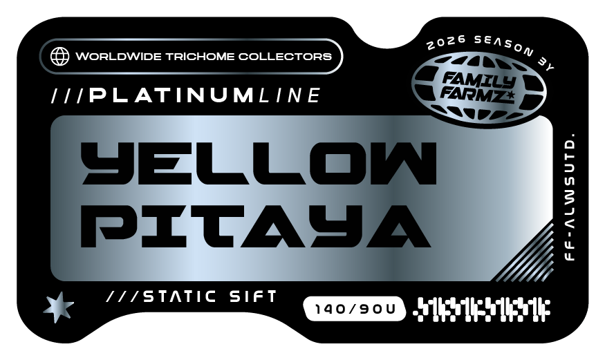 Product image for Yellow Pitaya