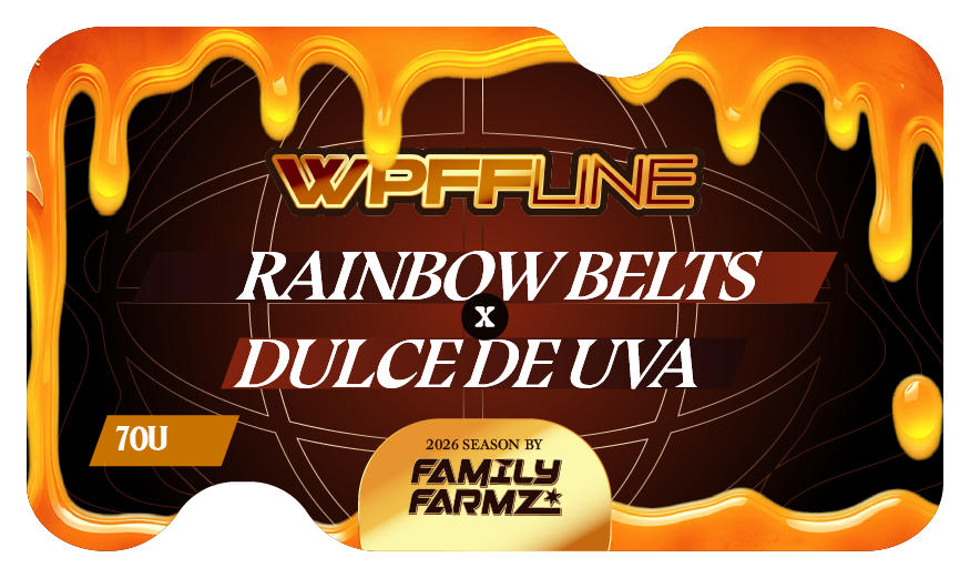 Product image for Rainbow Belts x Dulce de Uva