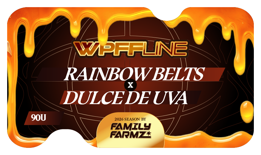 Product image for Rainbow Belts x Dulce de Uva